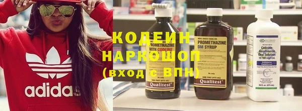 шишки Майский
