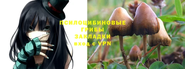 MESCALINE Абинск