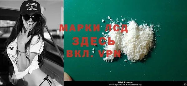 индика Абаза
