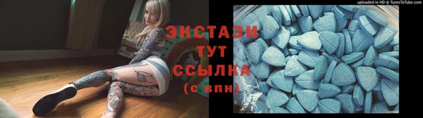 индика Абаза