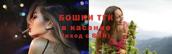 индика Абаза