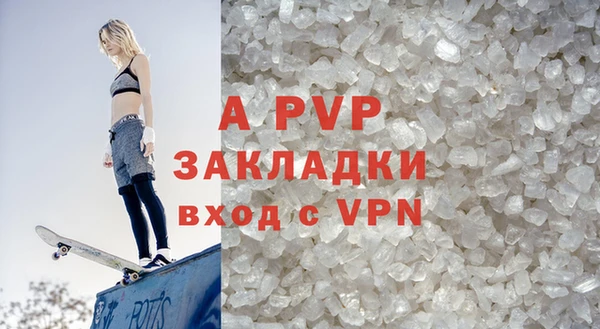 индика Абаза