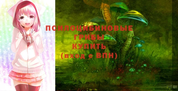 шишки Майский