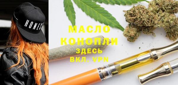 индика Абаза