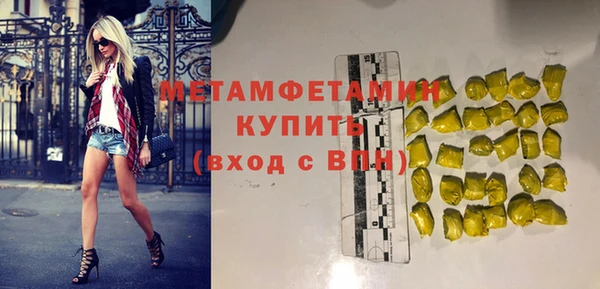 индика Абаза