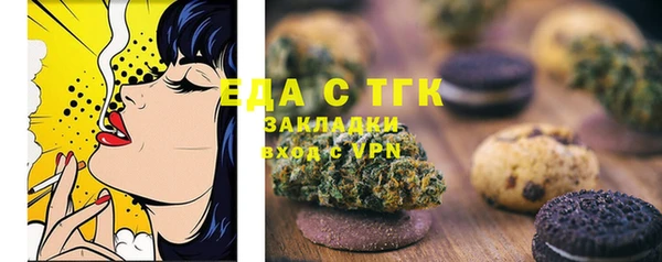 индика Абаза