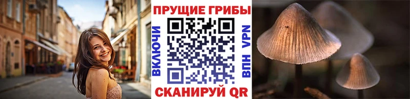 Псилоцибиновые грибы Magic Shrooms  Фрязино 